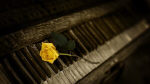 La pianista: un romanzo su una mancata emancipazione dalle origini