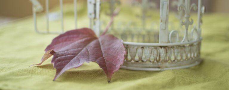 Soma e psiche: quando è il corpo a parlare (seconda parte)