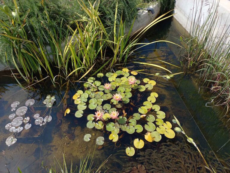 A volte … ritornano!