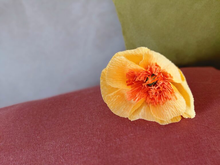 Cosa fare del dolore